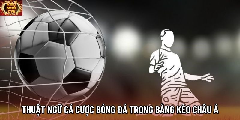Thuật ngữ cá cược bóng đá trong bảng kèo châu Á Thuật ngữ cá cược bóng đá trong bảng kèo châu Á